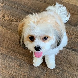 Meet your Posher, Michaela